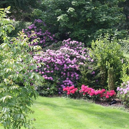 Bed & Breakfast Op 'T Leven Ermelo Exterior foto